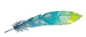 Leçon 11 – Kuei !