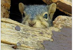 Leçon 04 – Visite inattendue